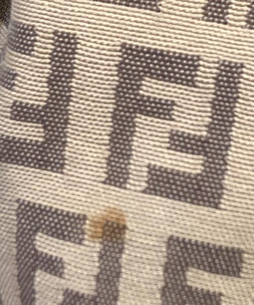FENDI（フェンディ）FENDI (フェンディ) ショルダーバッグの古着・服飾アイテム