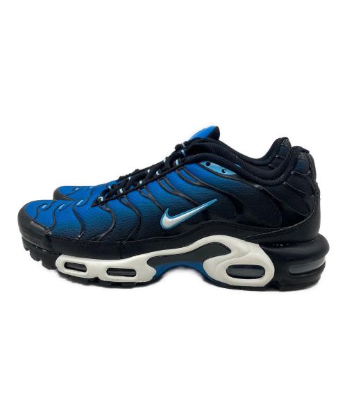 NIKE（ナイキ）NIKE (ナイキ) スニーカー ブルー サイズ:28の古着・服飾アイテム