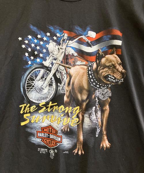 HARLEY-DAVIDSON（ハーレーダビッドソン）HARLEY-DAVIDSON (ハーレーダビッドソン) 半袖カットソー ブラック サイズ:Lの古着・服飾アイテム