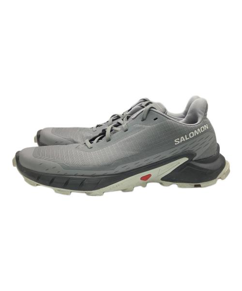 SALOMON（サロモン）SALOMON (サロモン) トレッキングシューズ グレー サイズ:28の古着・服飾アイテム