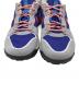 NIKE ACG (ナイキエージーシー) ACG LOWCATE グレー×ブルー サイズ:SIZE 28cm 未使用品：4000円