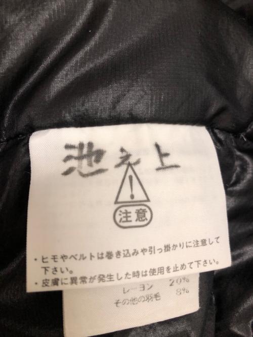 THE NORTH FACE（ザ ノース フェイス）THE NORTH FACE (ザ ノース フェイス) SUMMIT SERIES　ACONCAGUA VEST ダウンベスト ブラック サイズ:SIZE Lの古着・服飾アイテム