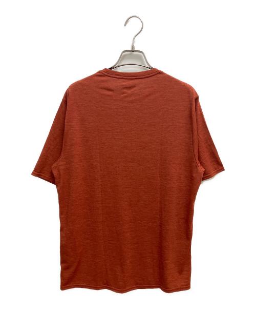 Patagonia（パタゴニア）Patagonia (パタゴニア) 半袖カットソー レッド サイズ:SIZE S 未使用品の古着・服飾アイテム
