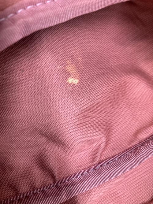 BURBERRY BLUE LABEL（バーバリー ブルー レーベル）BURBERRY BLUE LABEL (バーバリーロンドンブルーレーベル) セミショルダーバッグ ピンク×ブラウンの古着・服飾アイテム