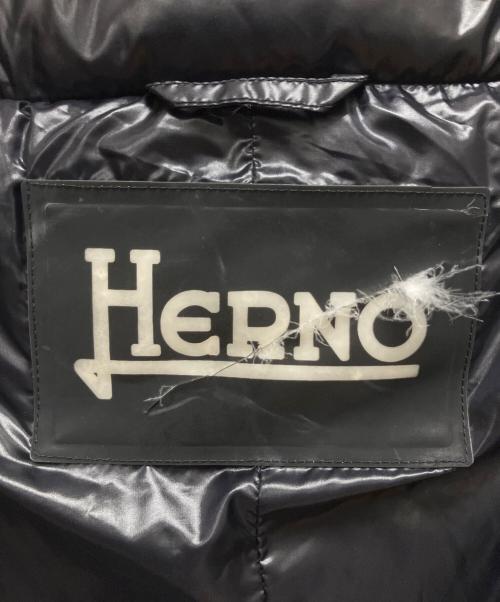 HERNO（ヘルノ）HERNO (ヘルノ) ダウンジャケット ネイビー サイズ:SIZE 42の古着・服飾アイテム