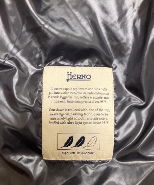 HERNO（ヘルノ）HERNO (ヘルノ) ダウンジャケット ネイビー サイズ:SIZE 42の古着・服飾アイテム