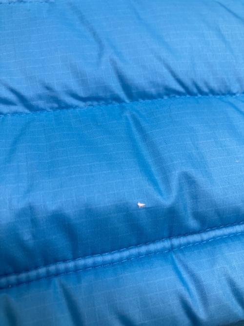 Patagonia（パタゴニア）Patagonia (パタゴニア) M's Down Sweater Vest ダウンベスト スカイブルー サイズ:SIZE Sの古着・服飾アイテム