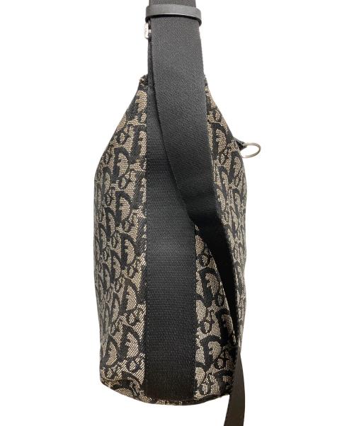 Christian Dior（クリスチャン ディオール）Christian Dior (クリスチャン ディオール) トロッター　ショルダーバッグ ベージュ×ブラックの古着・服飾アイテム