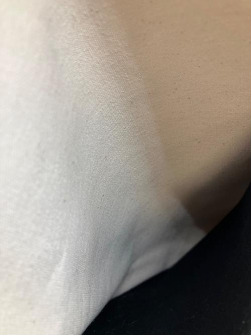 TAMPICO（タンピコ）TAMPICO (タンピコ) ほぼ日 (ホボ二チ) パンダ(大)　トートバッグ ホワイトの古着・服飾アイテム