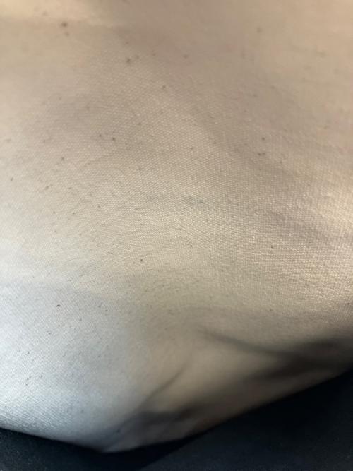 TAMPICO（タンピコ）TAMPICO (タンピコ) ほぼ日 (ホボ二チ) パンダ(大)　トートバッグ ホワイトの古着・服飾アイテム