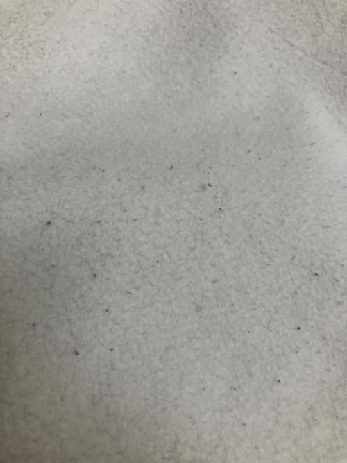 Champion（チャンピオン）Champion (チャンピオン) リバースウィーブ スウェット グレー サイズ:SIZE XLの古着・服飾アイテム