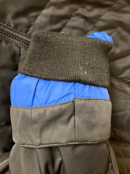 Eddie Bauer（エディーバウアー）Eddie Bauer (エディーバウアー) ダウンジャケット ブラック×ブルー サイズ:SIZE Lの古着・服飾アイテム