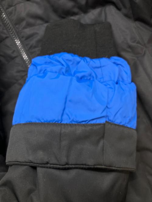 Eddie Bauer（エディーバウアー）Eddie Bauer (エディーバウアー) ダウンジャケット ブラック×ブルー サイズ:SIZE Lの古着・服飾アイテム