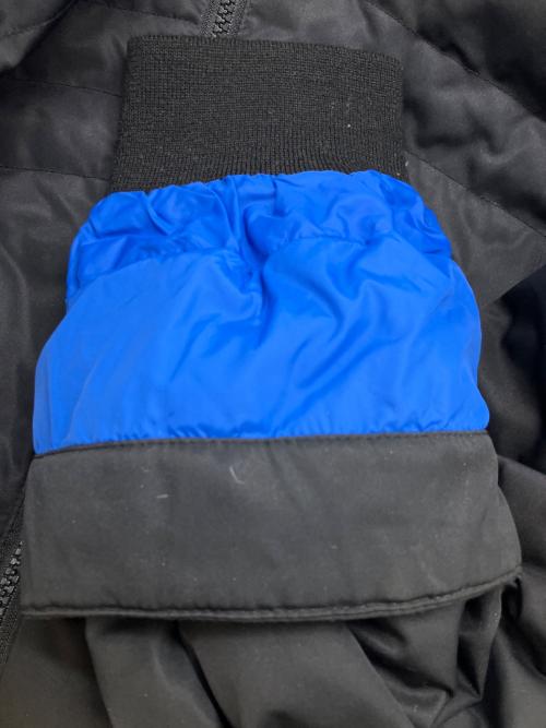 Eddie Bauer（エディーバウアー）Eddie Bauer (エディーバウアー) ダウンジャケット ブラック×ブルー サイズ:SIZE Lの古着・服飾アイテム