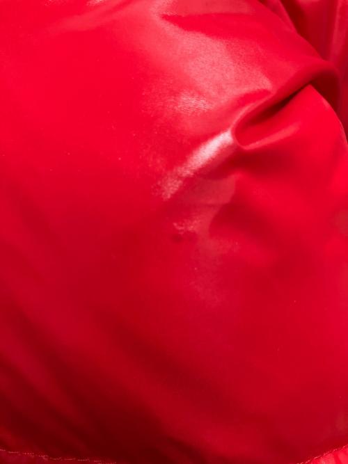 Pyrenex（ピレネックス）Pyrenex (ピレネックス) VINTAGE MYTHIC ダウンジャケット レッド サイズ:SIZE Sの古着・服飾アイテム