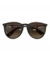 RAY-BAN（レイバン）の古着「ERIKA CLASSIC サングラス」｜ブラウン