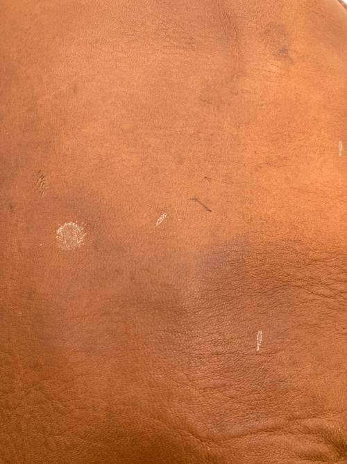 COACH（コーチ）COACH (コーチ) 巾着ショルダーバッグ ブラウンの古着・服飾アイテム