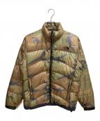 THE NORTH FACEザ ノース フェイス）の古着「アコンカグアダウンジャケット」｜グリーン