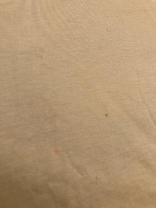 GUCCI（グッチ）GUCCI (グッチ) GG 半袖Tシャツ ベージュ サイズ:SIZE Sの古着・服飾アイテム