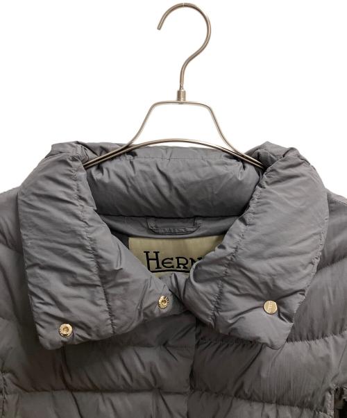 HERNO（ヘルノ）HERNO (ヘルノ) スタンドカラーダウンジャケット ダウンコート グレー サイズ:SIZE 42の古着・服飾アイテム