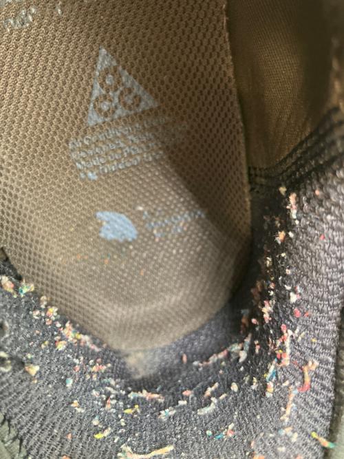 NIKE（ナイキ）NIKE (ナイキ) ACG MOUNTAIN FLY LOW SE スニーカー ブラウン サイズ:SIZE 27cmの古着・服飾アイテム