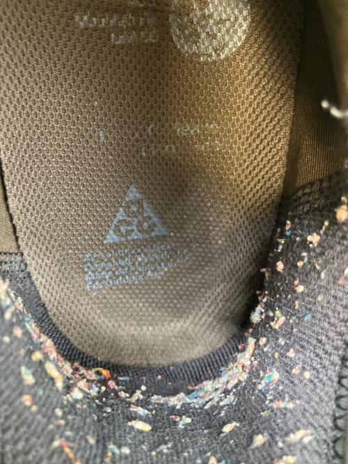 NIKE（ナイキ）NIKE (ナイキ) ACG MOUNTAIN FLY LOW SE スニーカー ブラウン サイズ:SIZE 27cmの古着・服飾アイテム