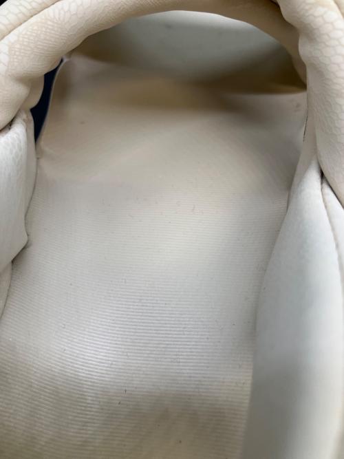 NIKE（ナイキ）NIKE (ナイキ) W AIR MAX ISLA サンダル ベージュ サイズ:SIZE 23cmの古着・服飾アイテム