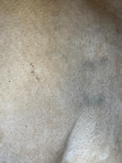 MCM（エムシーエム）MCM (エムシーエム) ロゴグラム ヴィセトス ラウンドショルダーバッグ ブラウンの古着・服飾アイテム