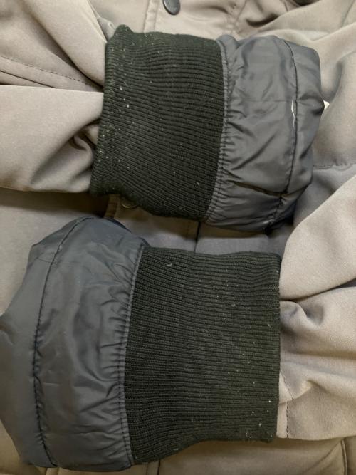 DANTON（ダントン）DANTON (ダントン) ダウンコート グレー サイズ:SIZE Sの古着・服飾アイテム