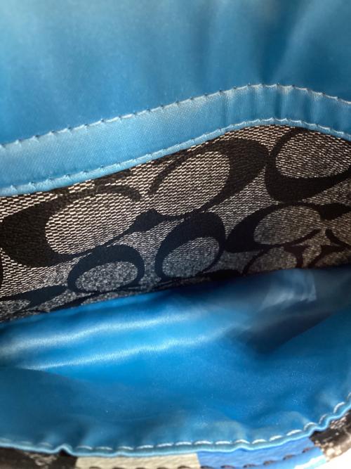 COACH（コーチ）COACH (コーチ) ヘリテージ ストライプ スモール ドームド サッチェル ハンドバッグ ブラック×ホワイトの古着・服飾アイテム