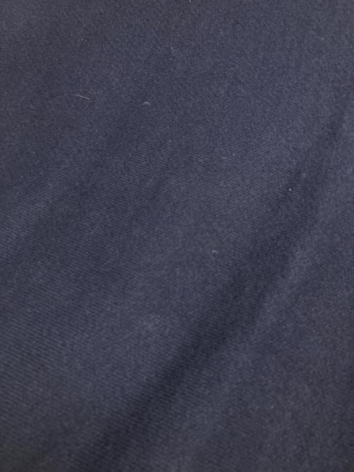 Champion（チャンピオン）Champion (チャンピオン) リバースウィーブ スウェット ネイビー サイズ:SIZE Lの古着・服飾アイテム