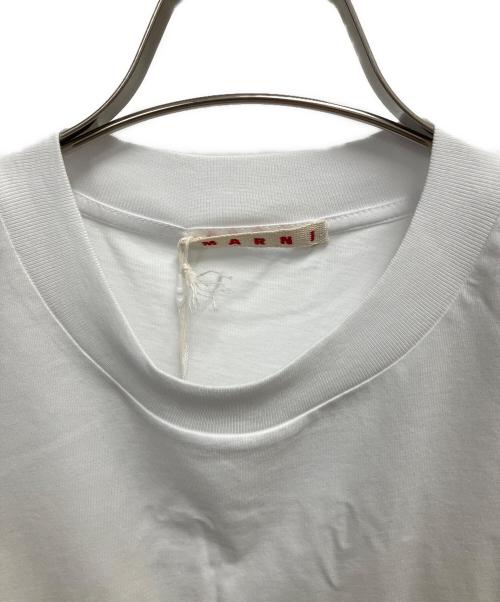MARNI（マルニ）MARNI (マルニ) Tシャツ ホワイト サイズ:SIZE 36 未使用品の古着・服飾アイテム