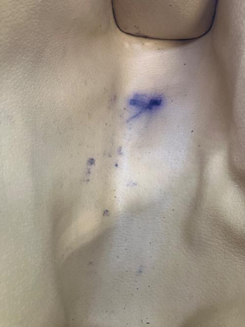 GUCCI（グッチ）GUCCI (グッチ) シグネチャー シェリーライン クラッチバッグの古着・服飾アイテム