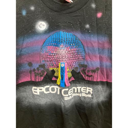 DISNEY（ディズニー）DISNEY (ディズニー) FRUIT OF THE LOOM (フルーツオブザルーム) 半袖カットソー ブラック サイズ:SIZE Mの古着・服飾アイテム