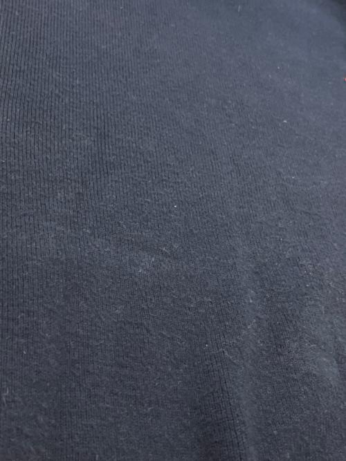 POLO RALPH LAUREN（ポロ・ラルフローレン）POLO RALPH LAUREN (ポロ・ラルフローレン) スウェット ネイビー サイズ:SIZE Mの古着・服飾アイテム