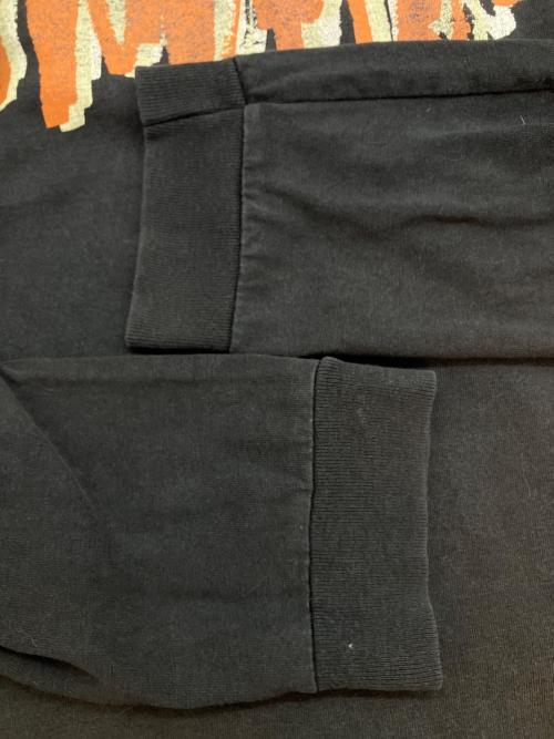 stussy（ステューシー）stussy (ステューシー) 長袖カットソー グレー サイズ:SIZE Mの古着・服飾アイテム