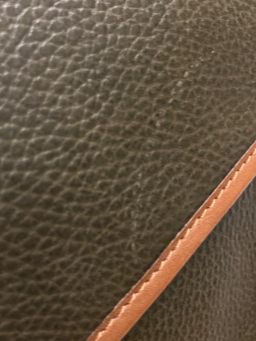 CELINE（セリーヌ）CELINE (セリーヌ) 2WAYショルダーバッグ グリーン×ブラウンの古着・服飾アイテム