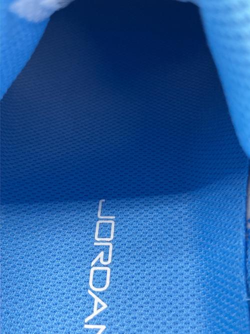 NIKE（ナイキ）NIKE (ナイキ) JORDAN NU RETRO ゴルフシューズ スカイブルー×ホワイト サイズ:SIZE 28.5cm 未使用品の古着・服飾アイテム