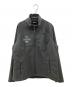 THE NORTH FACE（ザ ノース フェイス）の古着「ナイロンジャケット」｜グレー