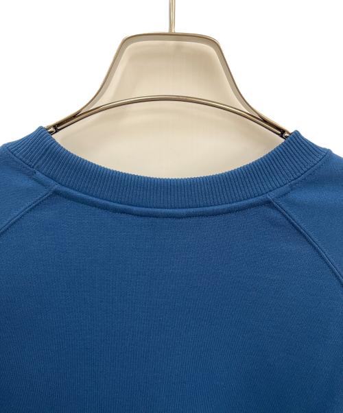 THE NORTH FACE（ザ ノース フェイス）THE NORTH FACE (ザ ノース フェイス) スウェット ブルー サイズ:SIZE Lの古着・服飾アイテム