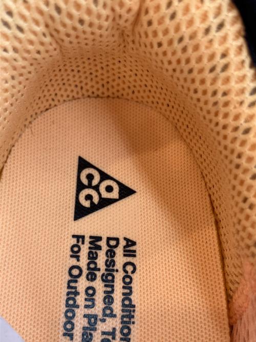 NIKE ACG（ナイキエーシージー）NIKE ACG (ナイキエーシージー) Air Nasu 2 