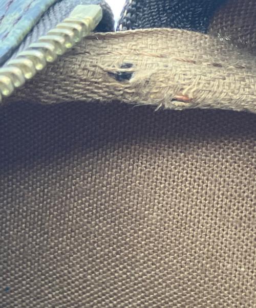 LOUIS VUITTON（ルイ ヴィトン）LOUIS VUITTON (ルイ ヴィトン) ハンドバッグ ブラウンの古着・服飾アイテム