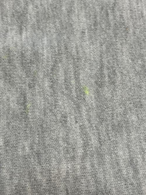Champion（チャンピオン）Champion (チャンピオン) REVERSE WEAVE スウェット グレー サイズ:SIZE Mの古着・服飾アイテム