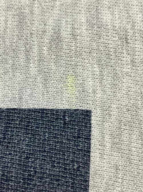 Champion（チャンピオン）Champion (チャンピオン) REVERSE WEAVE スウェット グレー サイズ:SIZE Mの古着・服飾アイテム