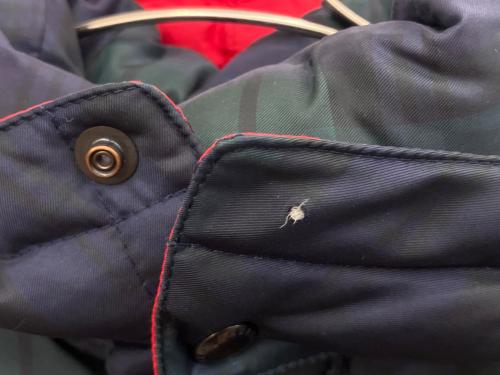 POLO RALPH LAUREN（ポロ・ラルフローレン）POLO RALPH LAUREN (ポロ・ラルフローレン) ダウンジャケット グリーン サイズ:SIZE XLの古着・服飾アイテム