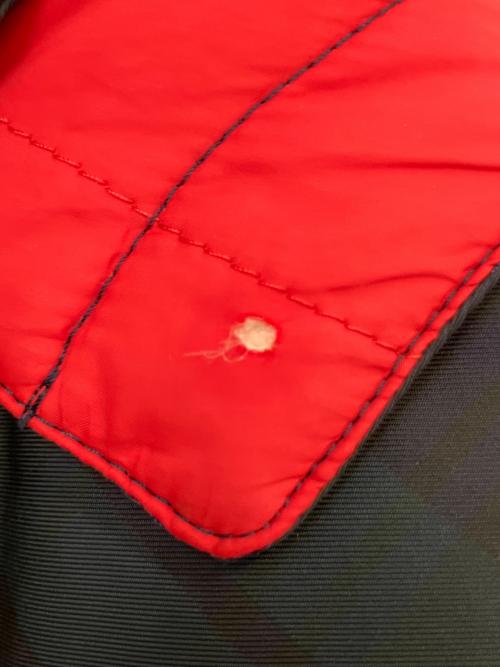 POLO RALPH LAUREN（ポロ・ラルフローレン）POLO RALPH LAUREN (ポロ・ラルフローレン) ダウンジャケット グリーン サイズ:SIZE XLの古着・服飾アイテム
