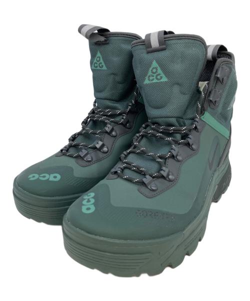 NIKE ACG（ナイキエーシージー）NIKE ACG (ナイキエーシージー) Nike ACG Air Zoom Gaiadome GORE-TEX 