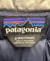 Patagoniaの古着・服飾アイテム：15000円