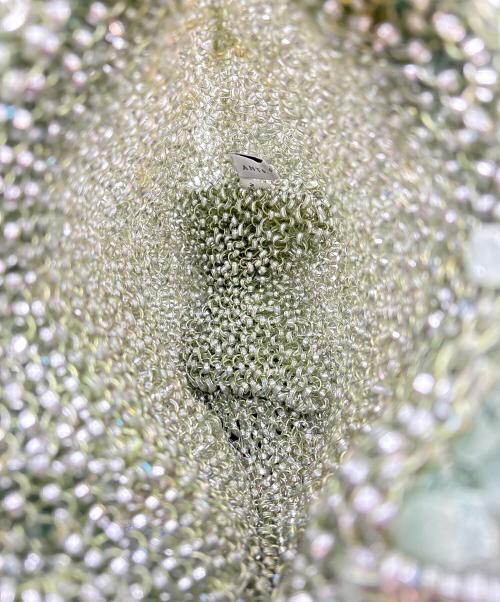 ANTEPRIMA（アンテプリマ）ANTEPRIMA (アンテプリマ) ワイヤーバッグ ライトグリーンの古着・服飾アイテム