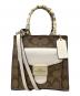 COACH（コーチ）の古着「2WAYショルダーバッグ」｜ブラウン